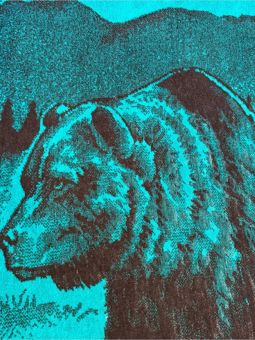 San Marcos vintage grizzly bear teal green blanket reversible 90s